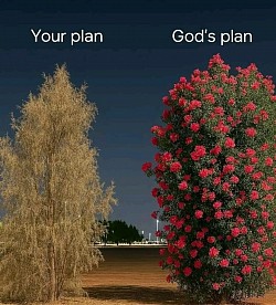God has a good plan for you